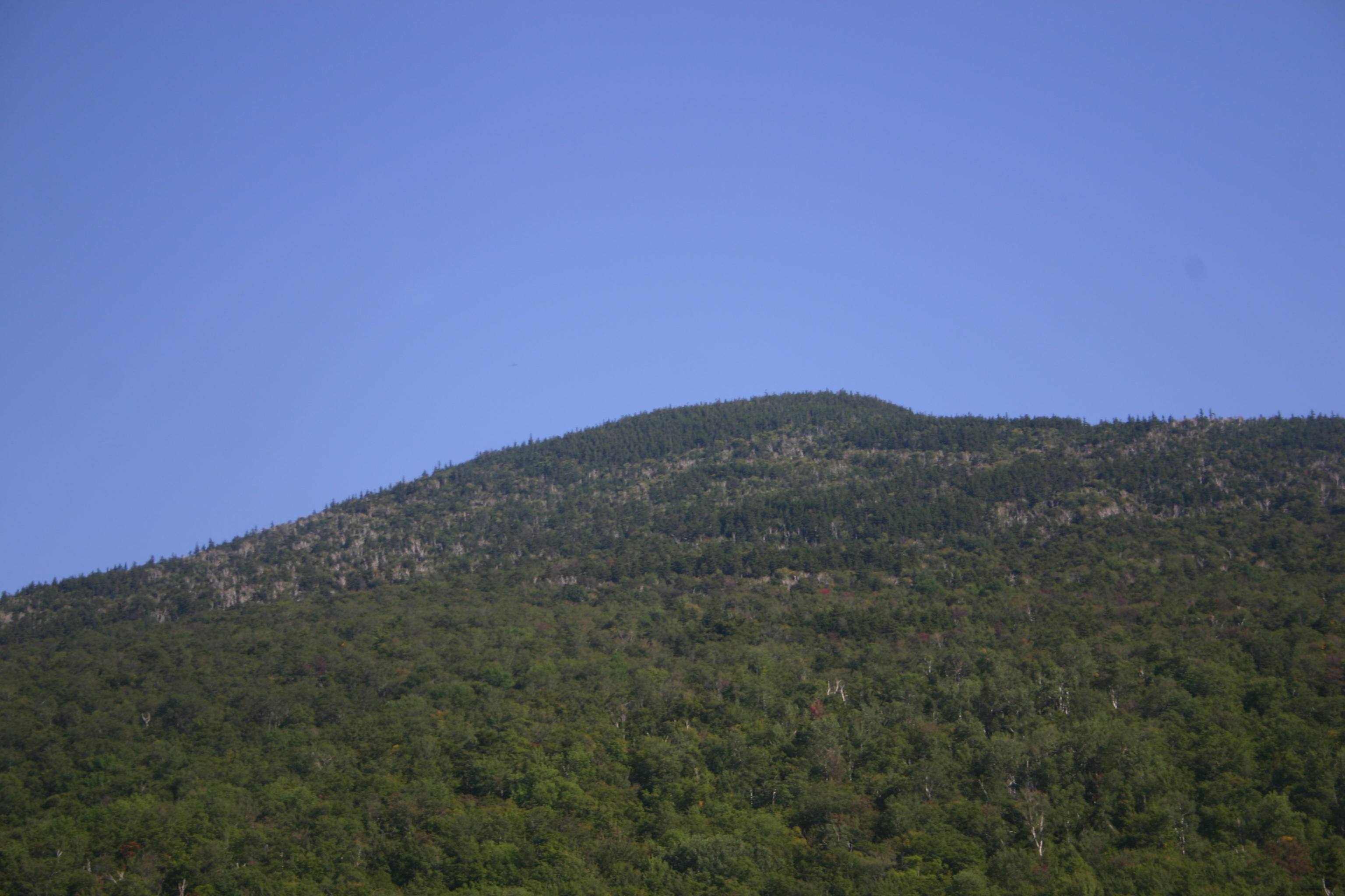 picture 17.